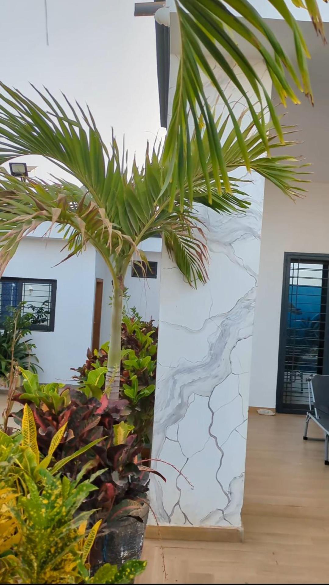 Villa Hawa, Decor Unique & Piscine Somone Ngoại thất bức ảnh